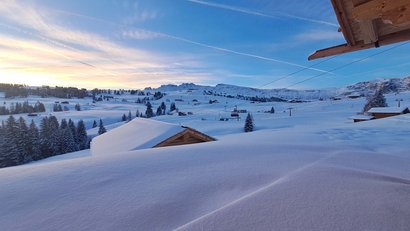 La Panes: Wagyu-Fleisch aus Südtirol