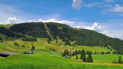 La Panes: Wagyu-Fleisch aus Südtirol